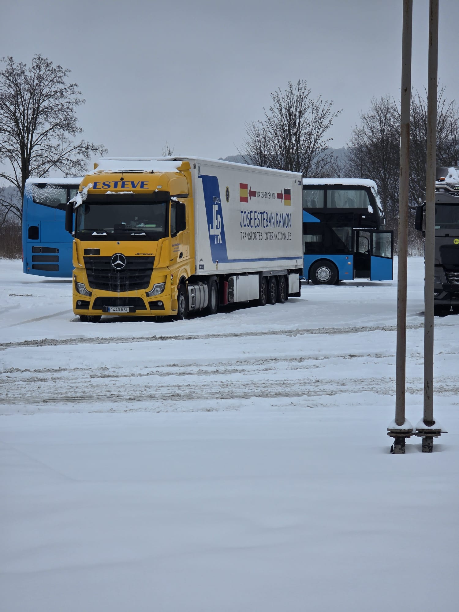 camion en calle nevada