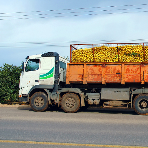 camion jose esteban ramon